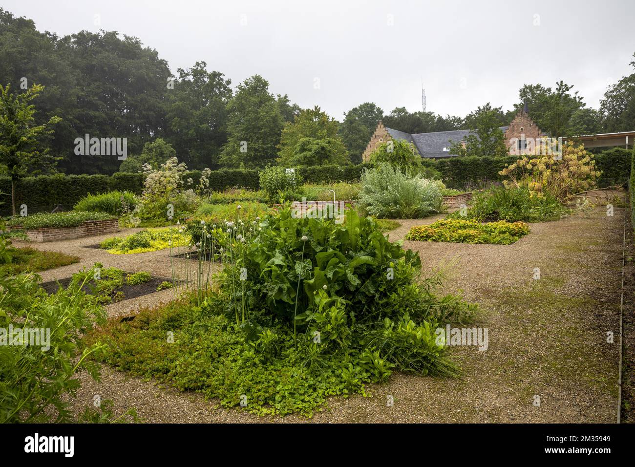 L'immagine mostra i Giardini Botanici nazionali belgi recentemente rinnovati a Meise, mercoledì 30 giugno 2021. BELGA FOTO HATIM KAGHAT Foto Stock