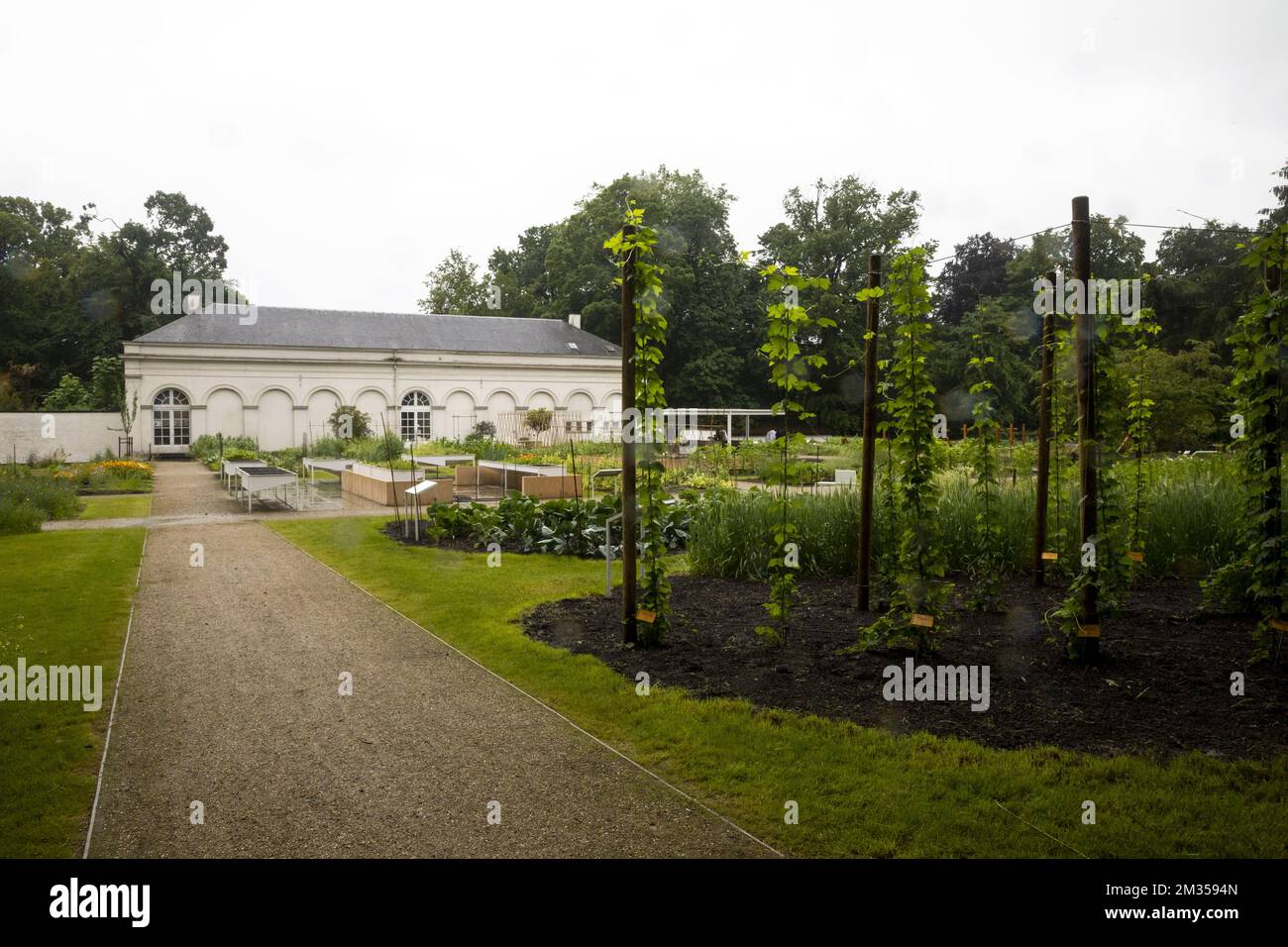 L'immagine mostra i Giardini Botanici nazionali belgi recentemente rinnovati a Meise, mercoledì 30 giugno 2021. BELGA FOTO HATIM KAGHAT Foto Stock