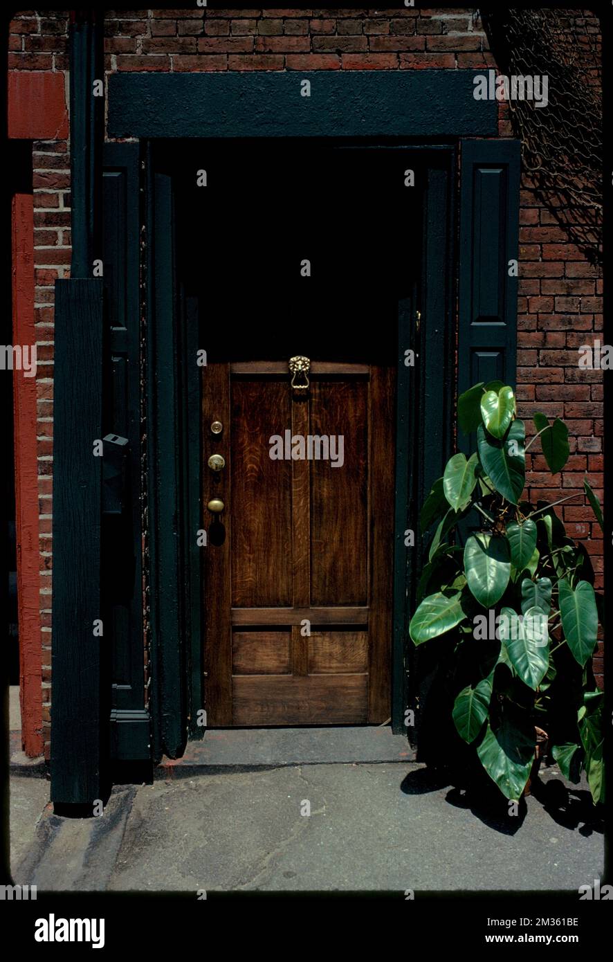 The Green Dolphin, Long Wharf, Boston, Doors & Doors, gallerie d'arte commerciali. Collezione Edmund L. Mitchell Foto Stock