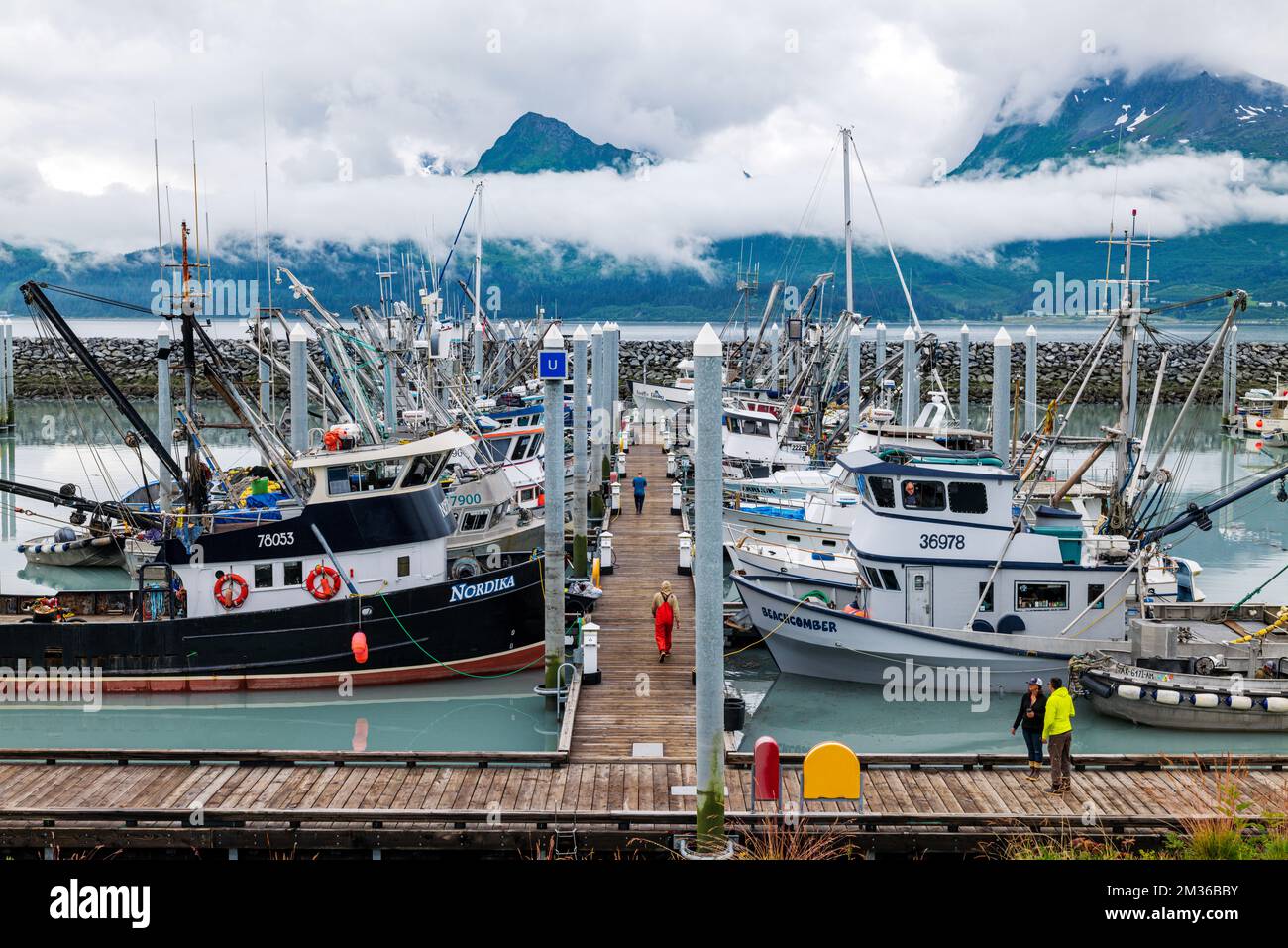 Barche da pesca commerciali e charter nel porto di nebbia; Valdez; Alaska; USA Foto Stock