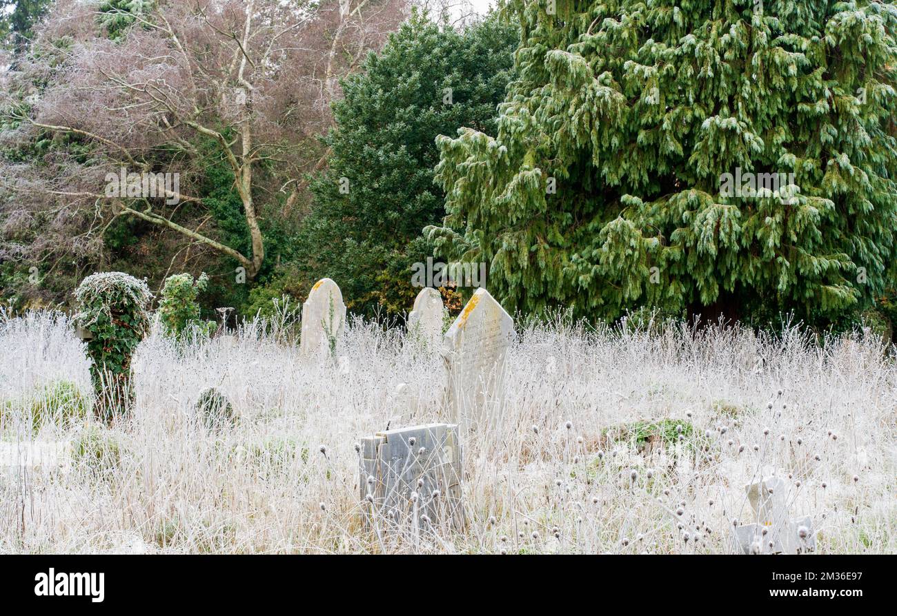 Mattina gelida nel vecchio cimitero di Southampton Foto Stock