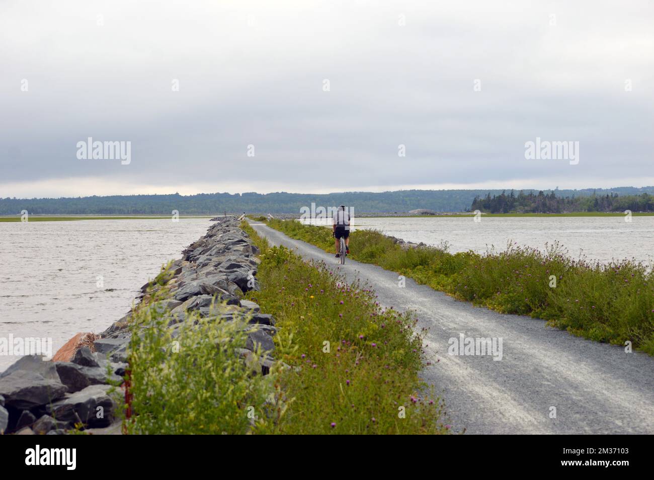 Il Salt Marsh Trail, un progetto che prevede percorsi per le rotaie a Cole Harbour, Nuova Scozia, Canada. La famosa pista ciclabile fa parte del Trans Canada Trail. Foto Stock