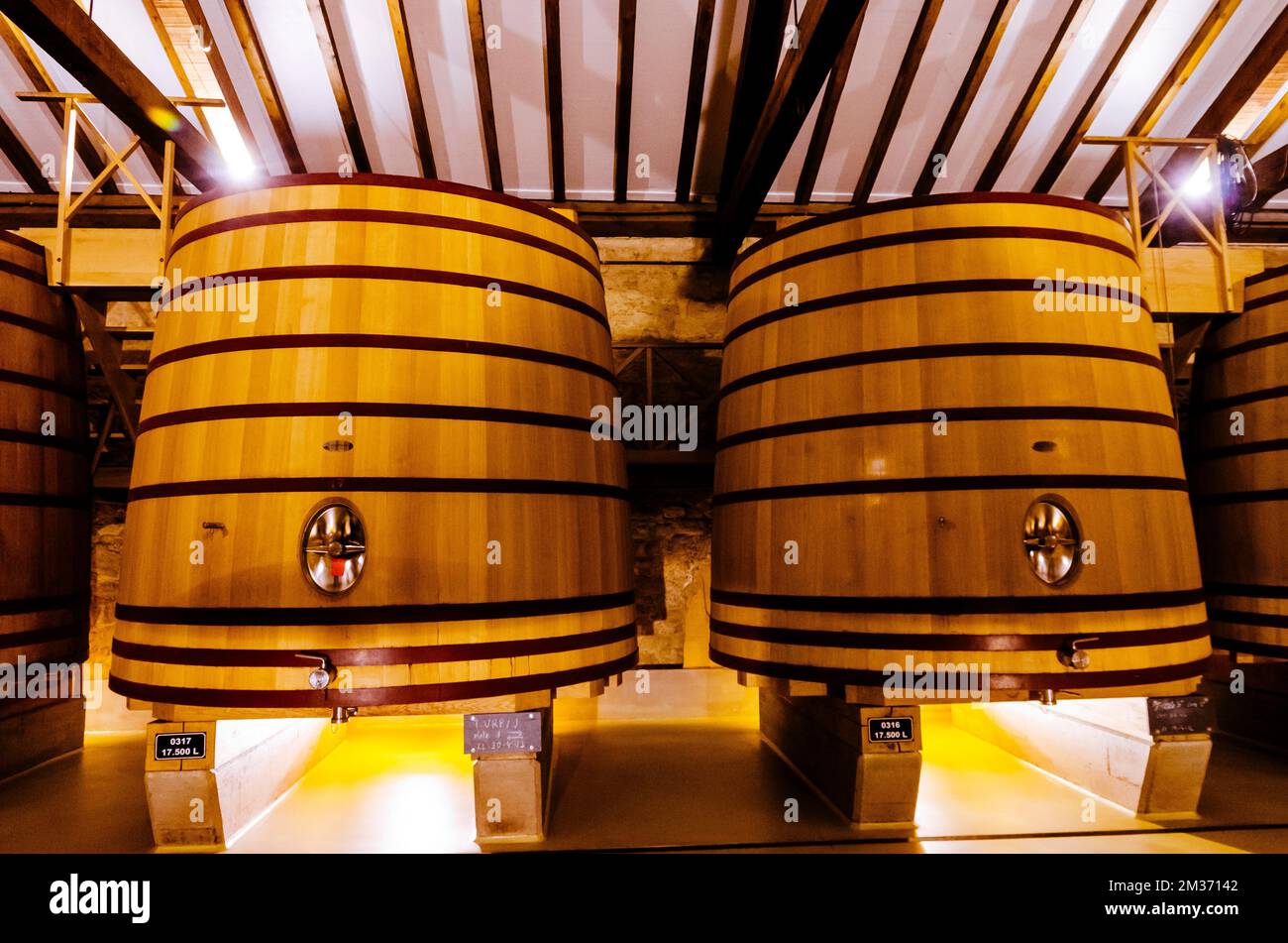 Bodega Real de Asúa. Compañía Vinícola del Norte de España, CVNE, è una cantina a conduzione familiare fondata nel 1879 ad Haro, la Rioja, Spagna. Appartiene a. Foto Stock