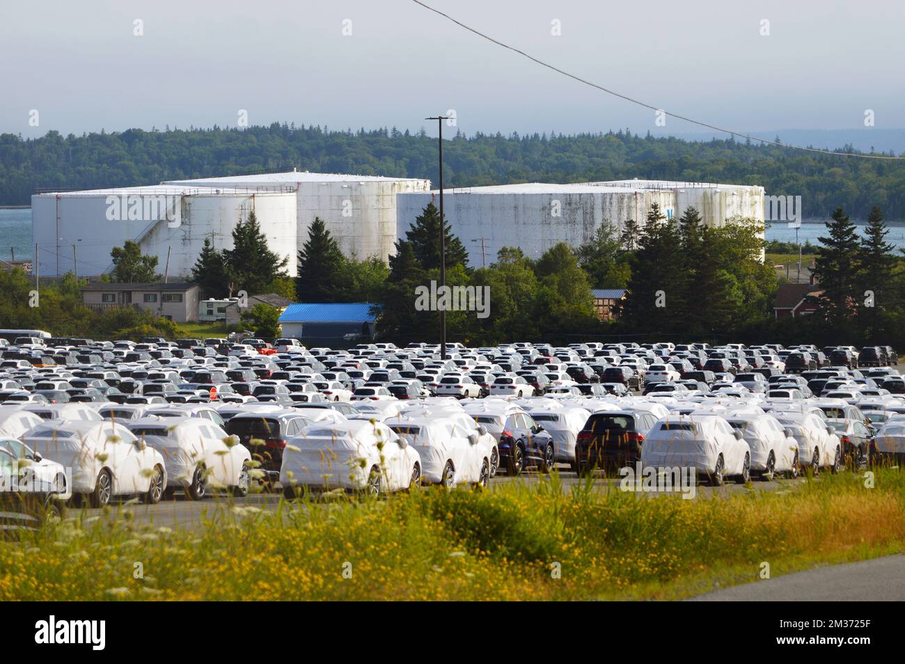 Impianto di autoproduzione Autoport presso il porto di Halifax a Dartmouth, Nuova Scozia, Canada Foto Stock