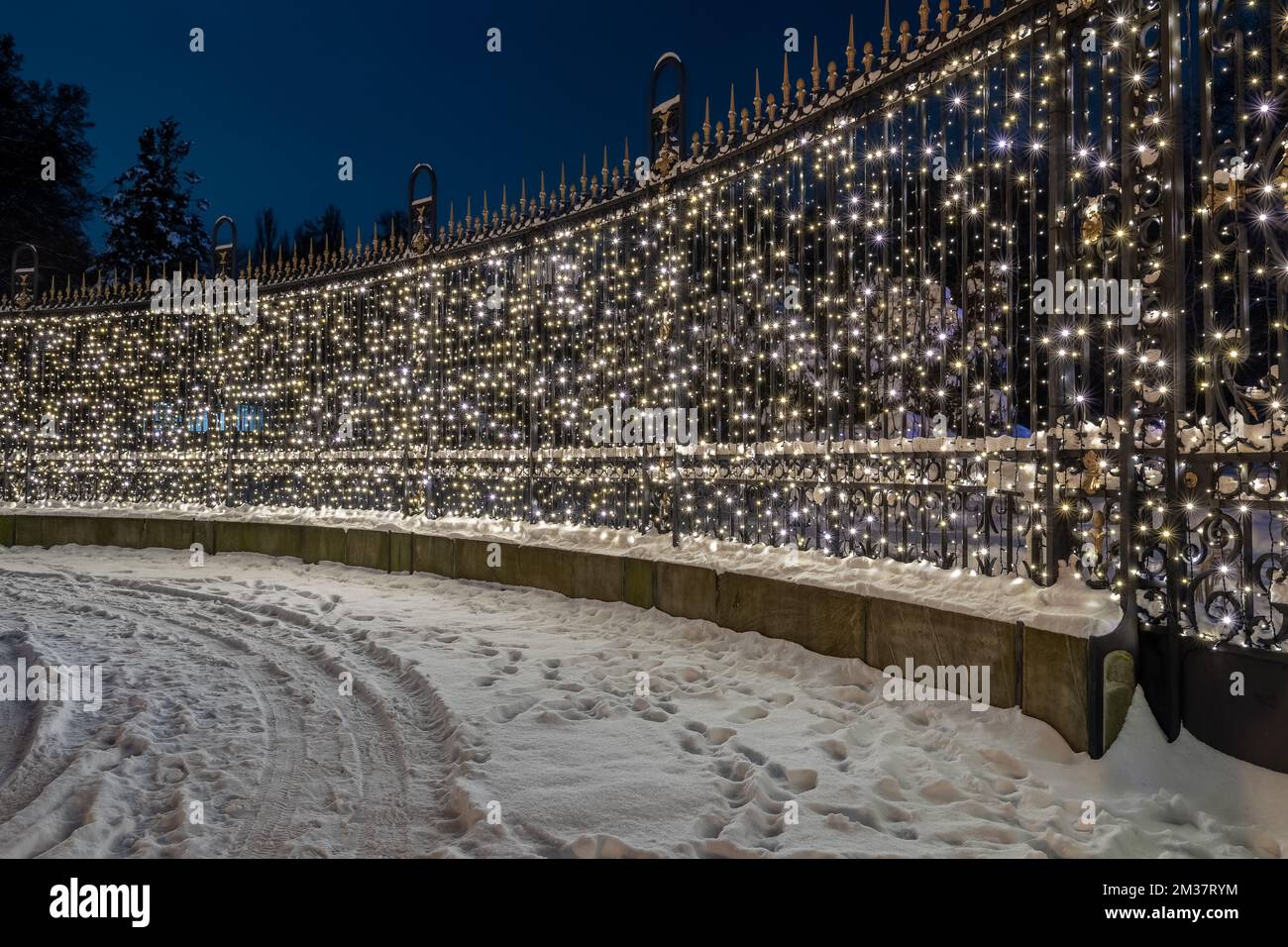 Recinzione alleggerita dello zoo situato nel Parco Silesiano, Chorzow, Polonia. Bellissimo scenario invernale. Illuminazione colorata. Natale. Foto Stock