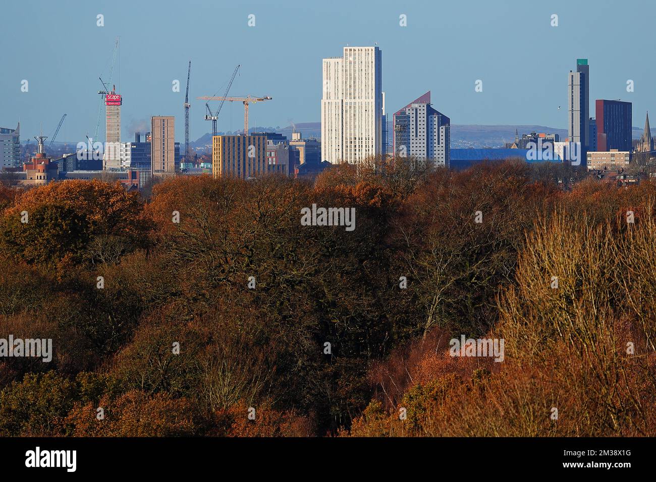 Una vista dello skyline di Leeds in un giorno d'autunno, presa da Temple Newsam nel West Yorkshire, Regno Unito Foto Stock