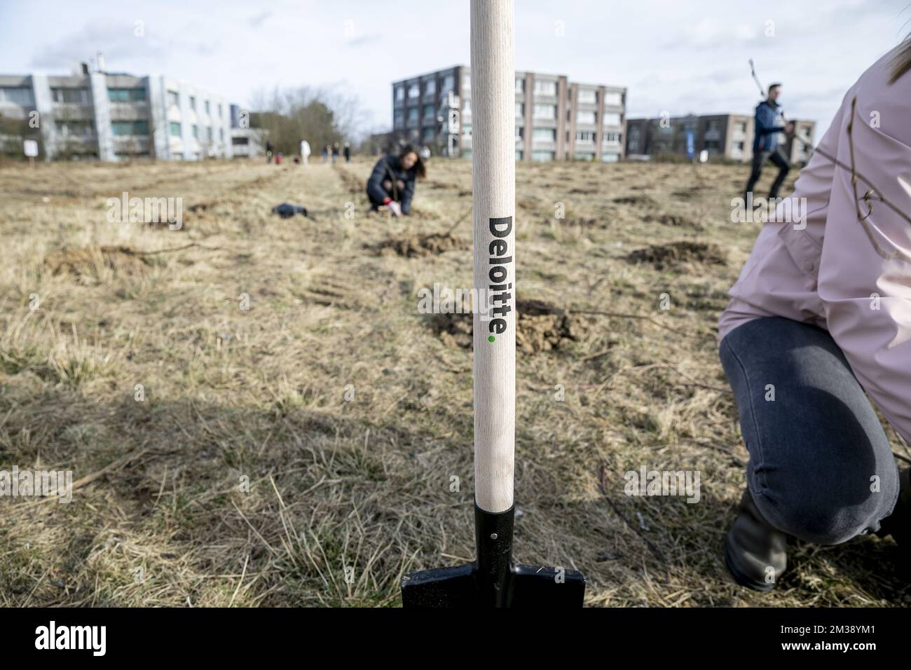 L'illustrazione mostra gli operai degli alberi della pianta di Deloitte a Zaventem il sabato 12 marzo 2022. BELGA FOTO HATIM KAGHAT Foto Stock