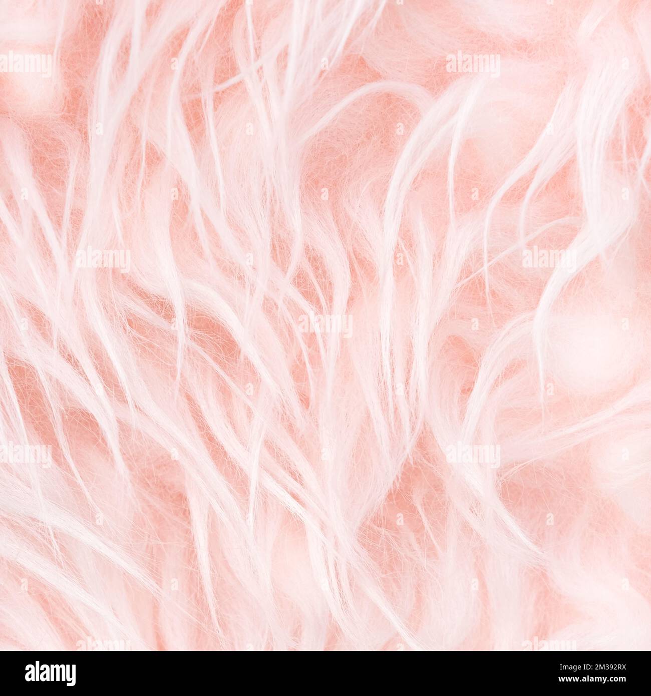Texture di rosa chiaro lunga pelliccia artificiale primo piano. Arredamento e concetto di comfort. Banner quadrato con spazio copia per i social media Foto Stock