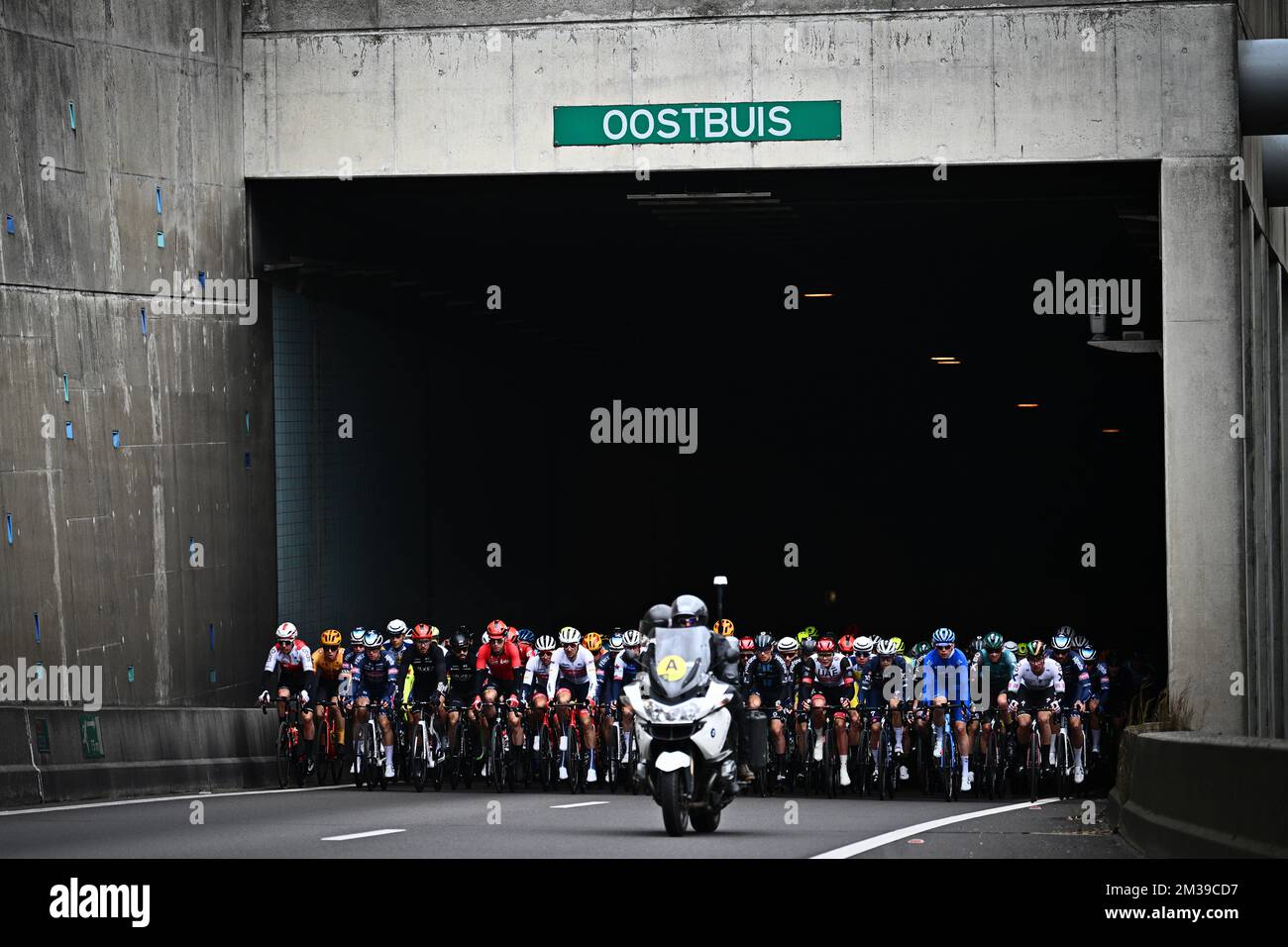 L'immagine mostra il pacco di piloti in partenza dall'Oostbuis del tunnel occidentale di Scheldt (Westerscheldetunnel) durante la gara maschile della giornata ciclistica 'Scheldejs', 198,7km da Terneuzen, Paesi Bassi a Schoten, Belgio, mercoledì 06 aprile 2022. FOTO DI BELGA JASPER JACOBS Foto Stock