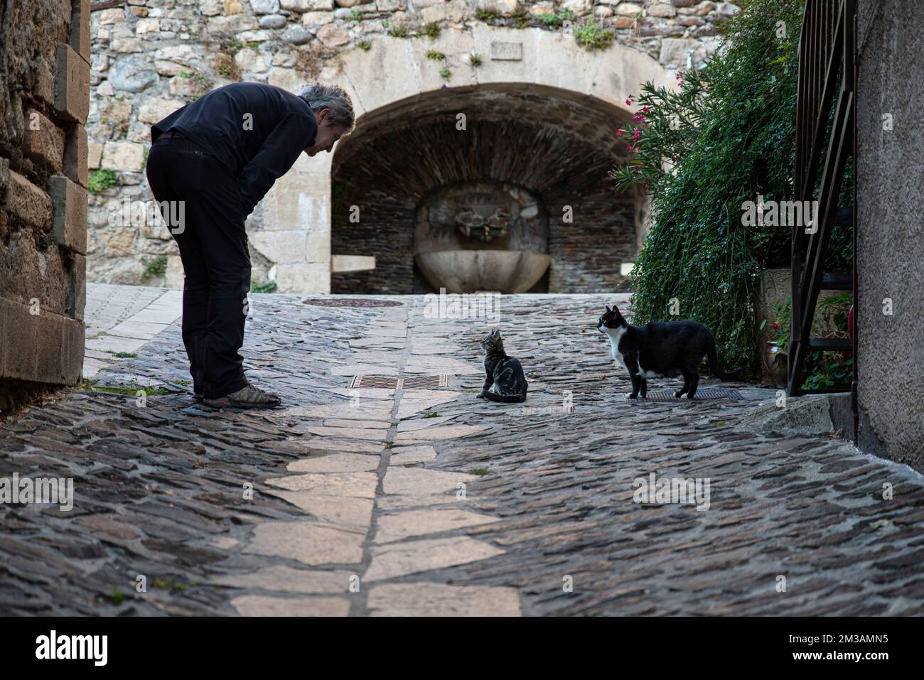 faccia a faccia tra un uomo e un gatto in una vecchia strada del villaggio Foto Stock