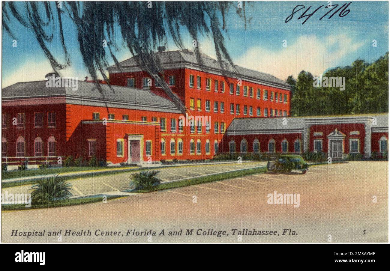 Ospedale e centro di salute, Florida A e M College, Tallahassee, Florida. , Università e college, Ospedali, Tichnor Brothers Collection, cartoline degli Stati Uniti Foto Stock