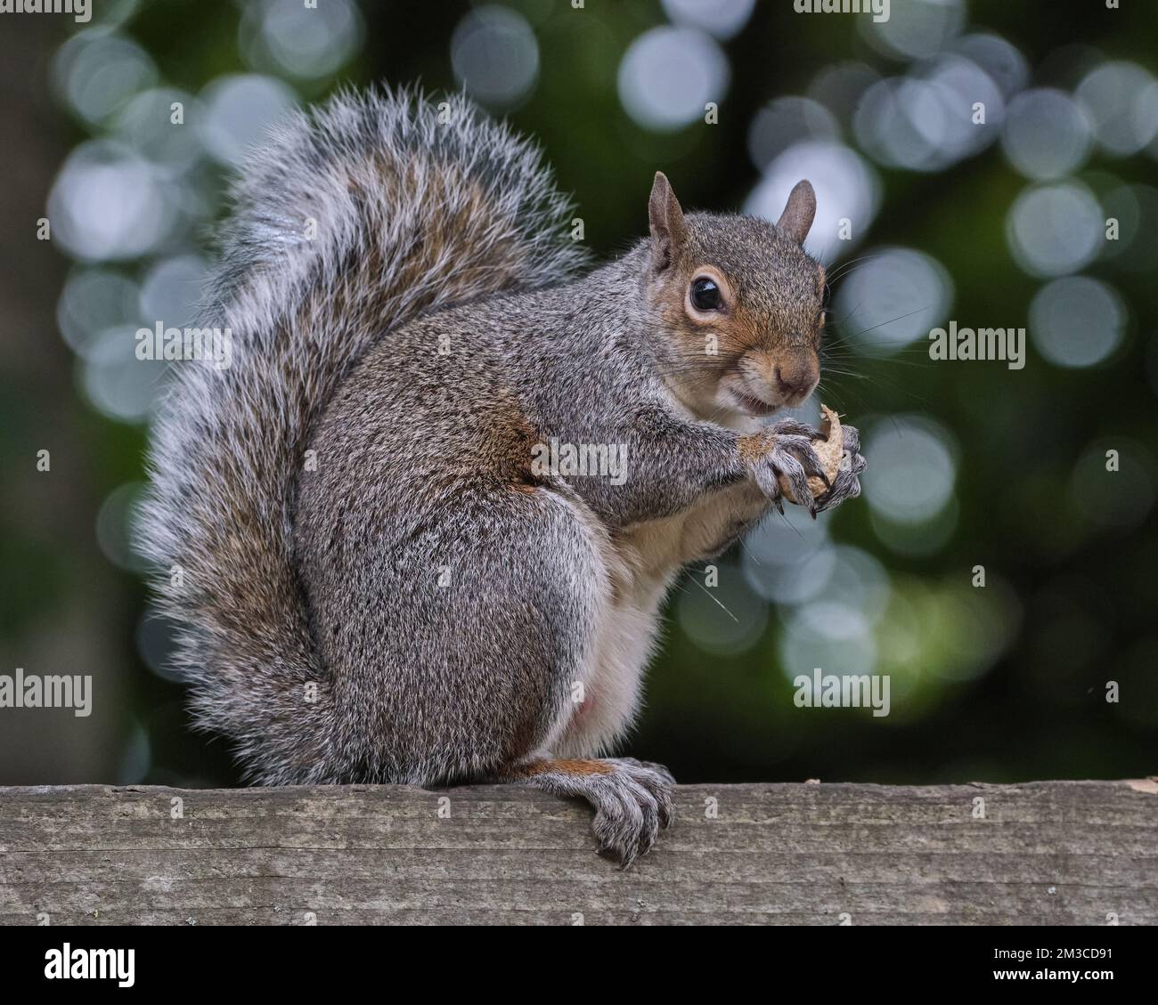Yum, Yum Foto Stock