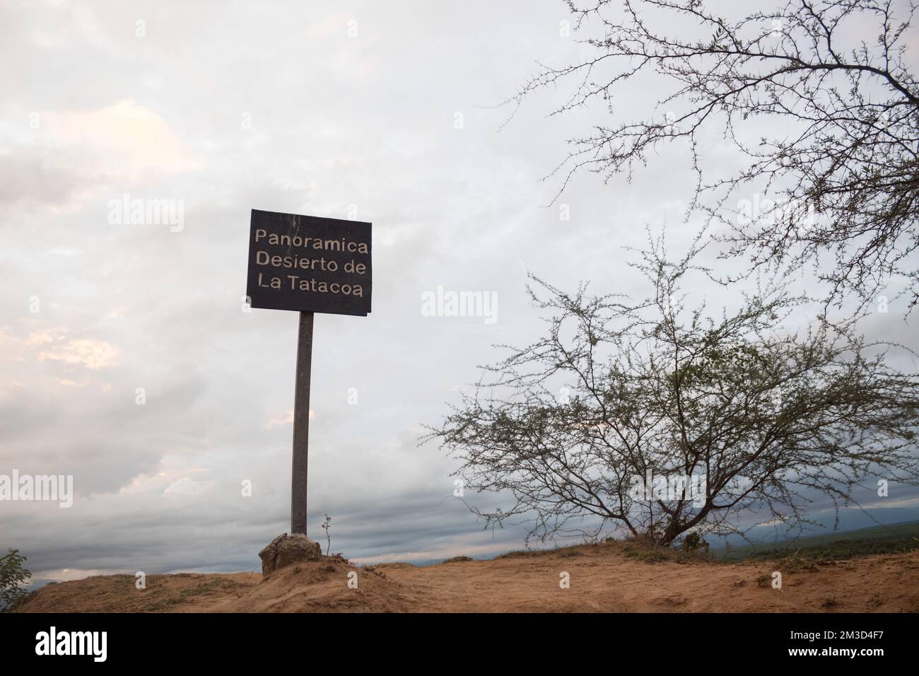 'Panoramica Desierto de la Tatacoa' famoso segno nella zona 'el cusco' vicino a un albero senza foglie e un piccolo cespuglio all'alba, Huila, Colombia Foto Stock