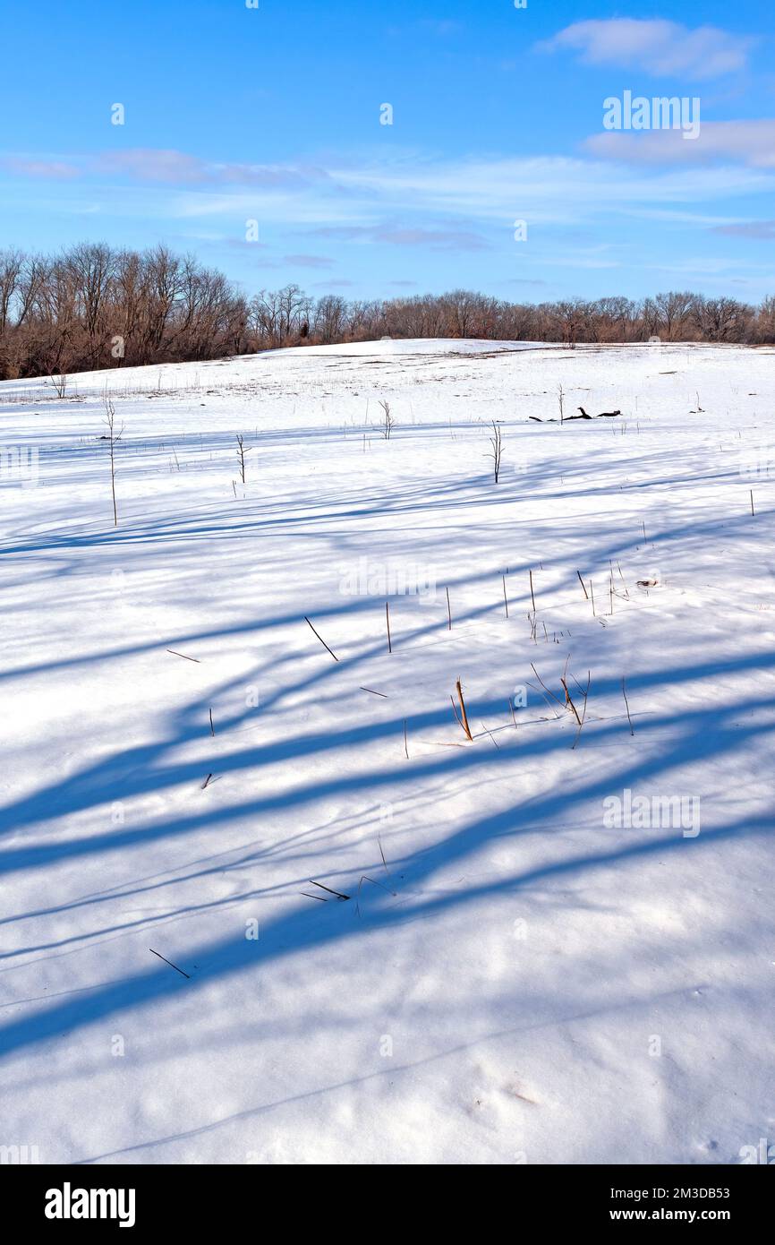 Snowy Hill in una tranquilla giornata invernale nella zona naturale dello stato di volo Bog in Illinois Foto Stock