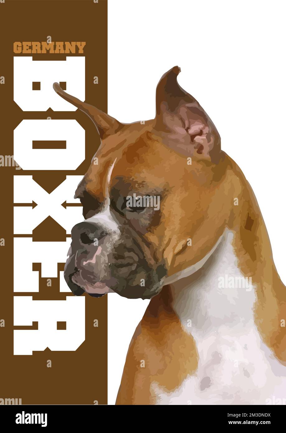 Un primo piano di un bel cane di Boxer fawn. 3d illustrazione del poster vettoriale Illustrazione Vettoriale