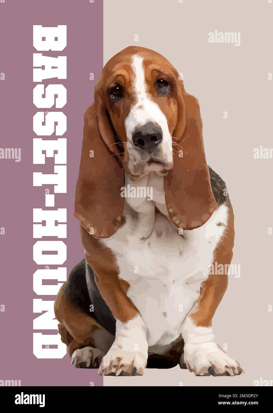 Un primo piano di un bel cane basset fawn. 3d illustrazione del poster vettoriale Illustrazione Vettoriale