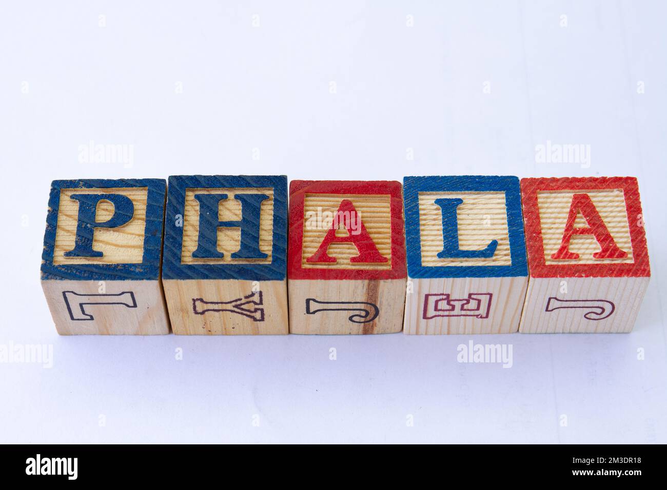 Il termine phala viene visualizzato visivamente su uno sfondo chiaro con spazio di copia Foto Stock
