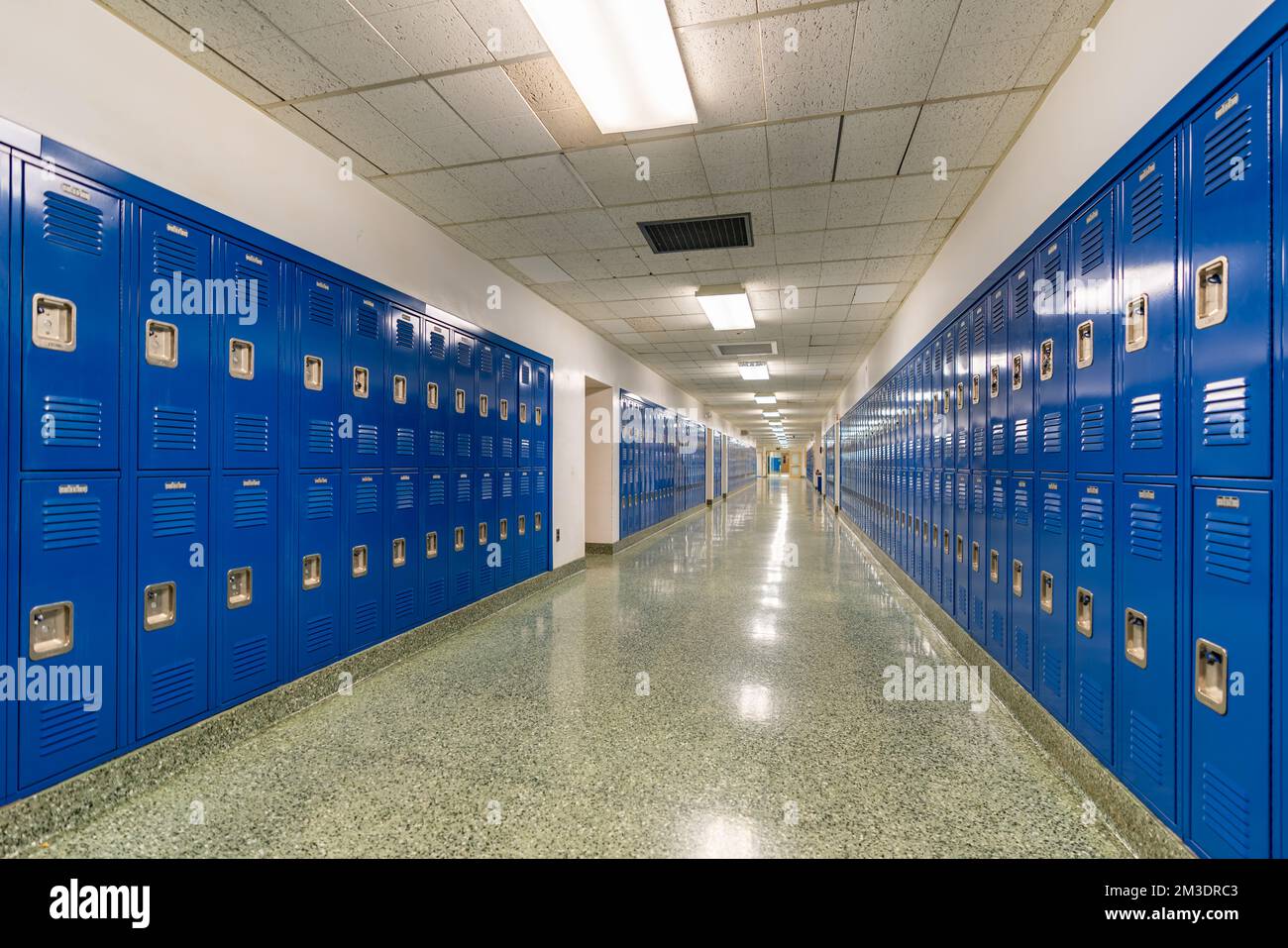 Tipico corridoio della scuola vuoto degli Stati Uniti, senza descrizione, con armadietti in metallo blu lungo un corridoio. Foto Stock