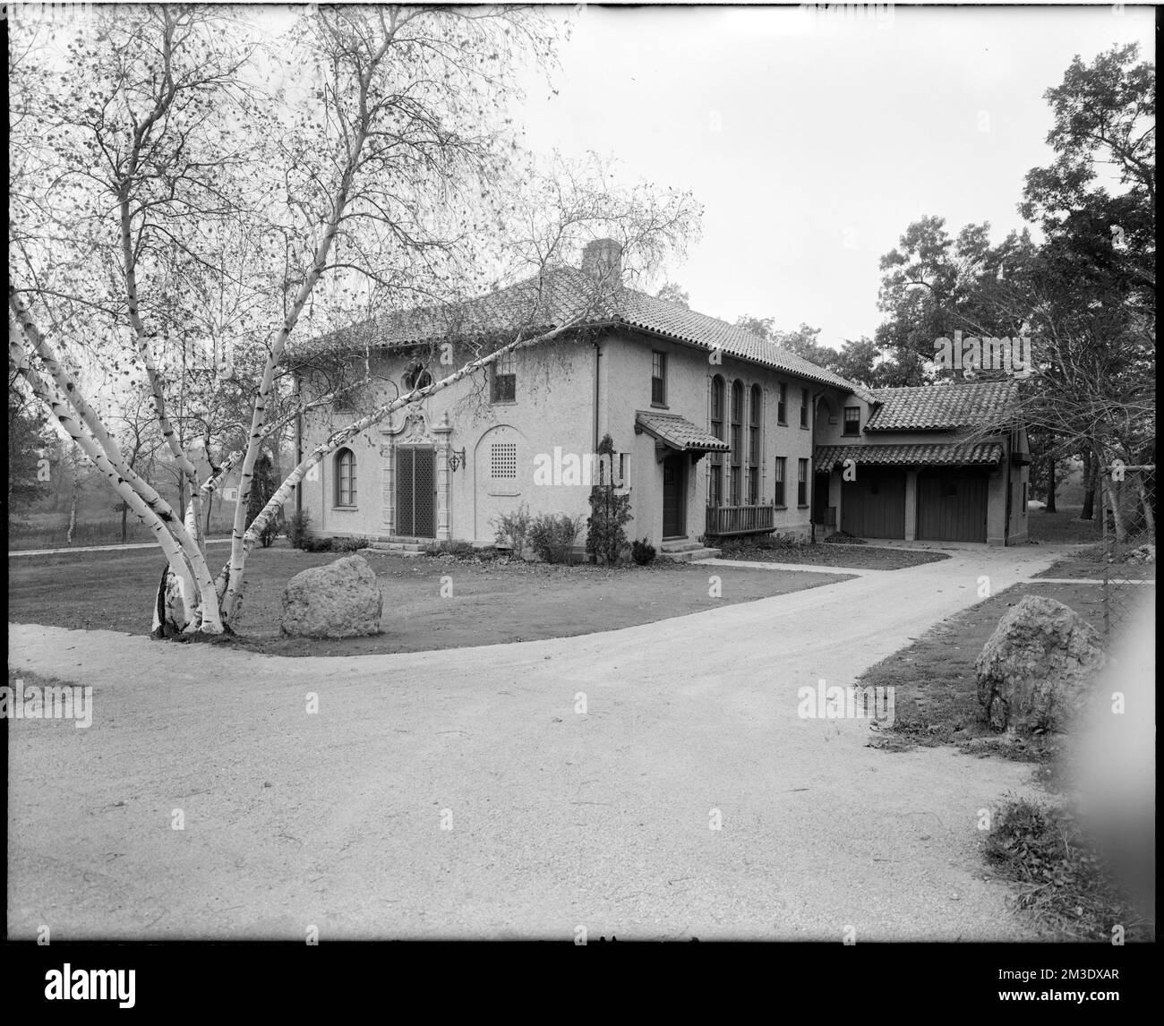 Biblioteca Larz Anderson, albero di betulla alla fine , Librerie. Collezione Leon Abdalian Foto Stock