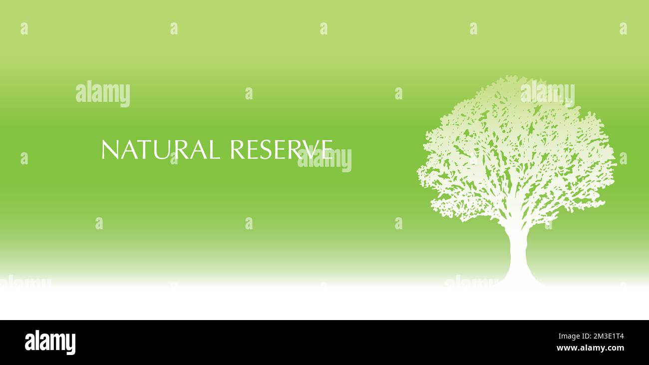 Illustrazione di sfondo verde vettoriale con una silhouette ad albero bianca e uno spazio di testo. Illustrazione Vettoriale