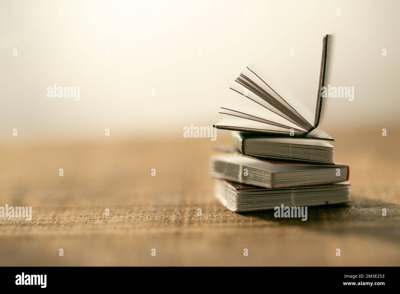 pila di libri su un tavolo di legno su uno sfondo chiaro e sfocato. Soft focus.Learning e conoscenza Symbol.Reading e Education.Literature e Reading Foto Stock