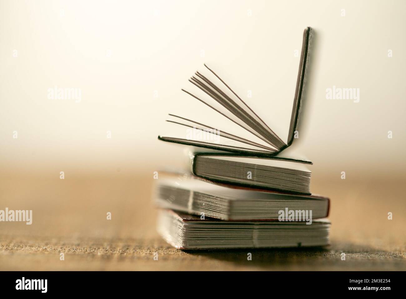 Lettura libri. Apprendimento e conoscenza simbolo. pila di libri su un tavolo di legno su uno sfondo chiaro e sfocato. Soft focus.Reading e l'istruzione Foto Stock