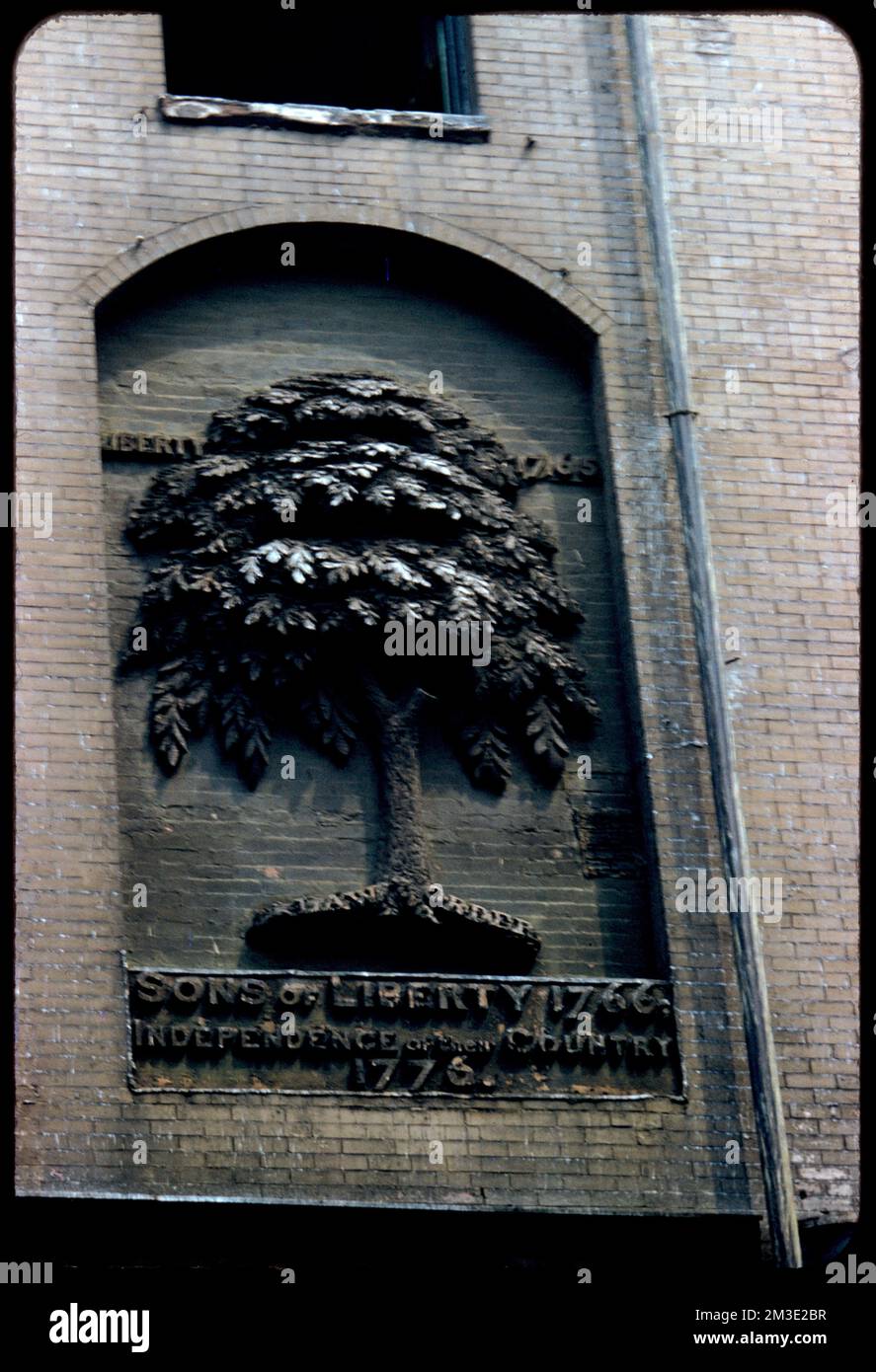 Liberty Tree Plaque , marcatori storici. Collezione Edmund L. Mitchell Foto Stock