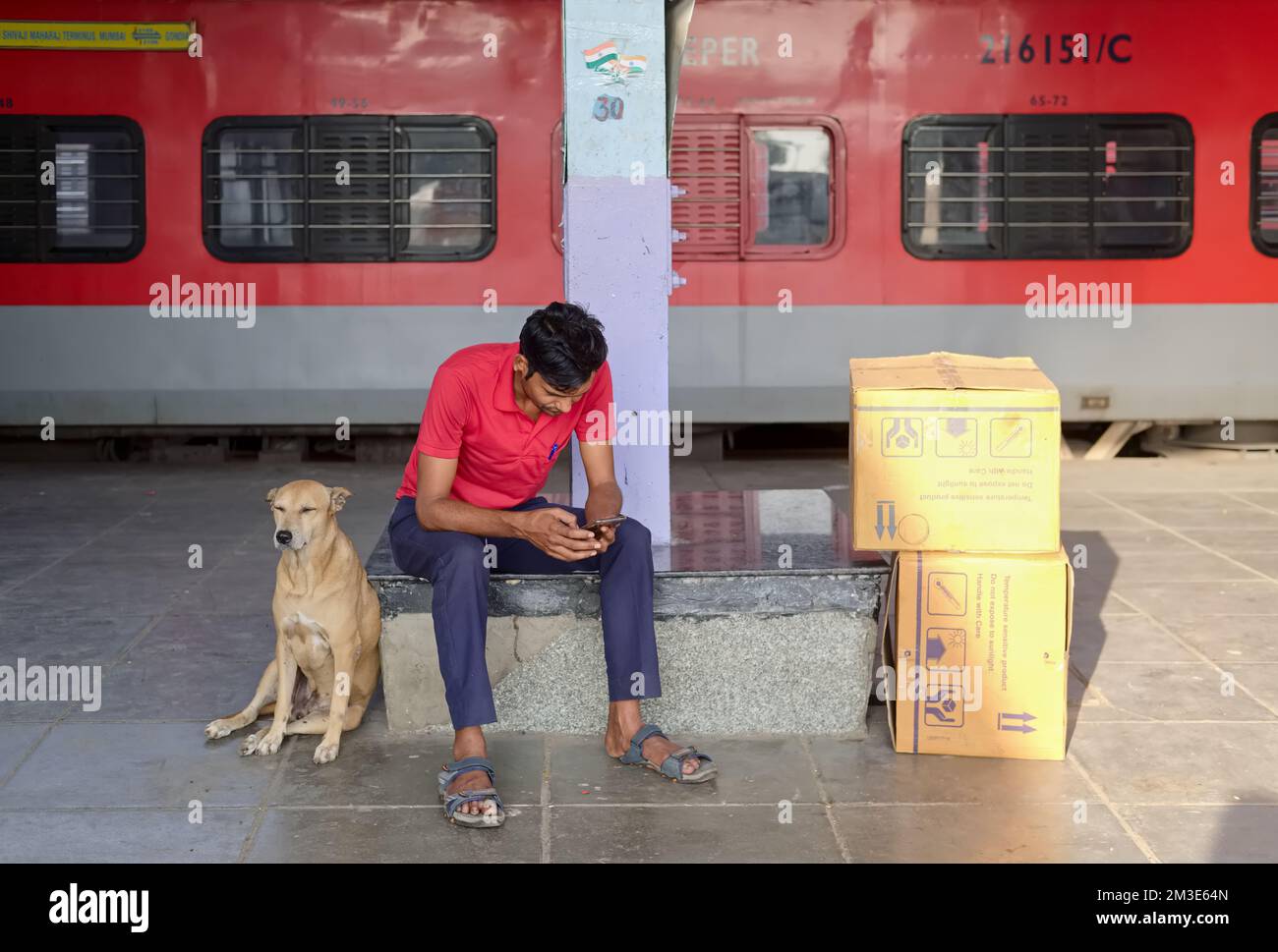 Un giovane uomo indiano seduto accanto ad un cane randagio su una piattaforma a Chhatrapati Shivaji Maharaj Terminus a Mumbai, India Foto Stock