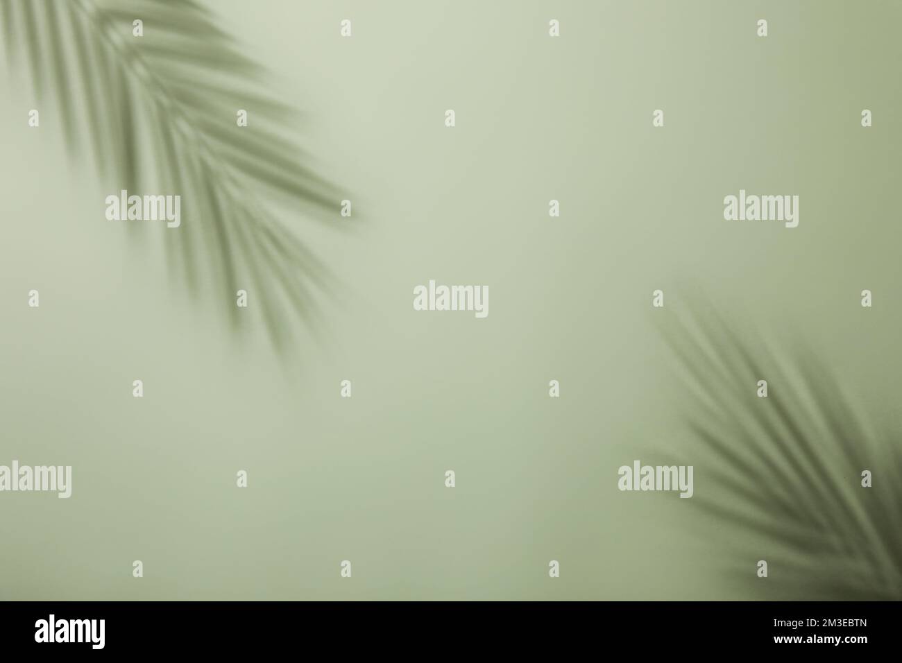 sfondo semplice, minimale e desaturato con foglie di palme e bottiglie di vetro a motivi geometrici con spazio copia al centro Foto Stock