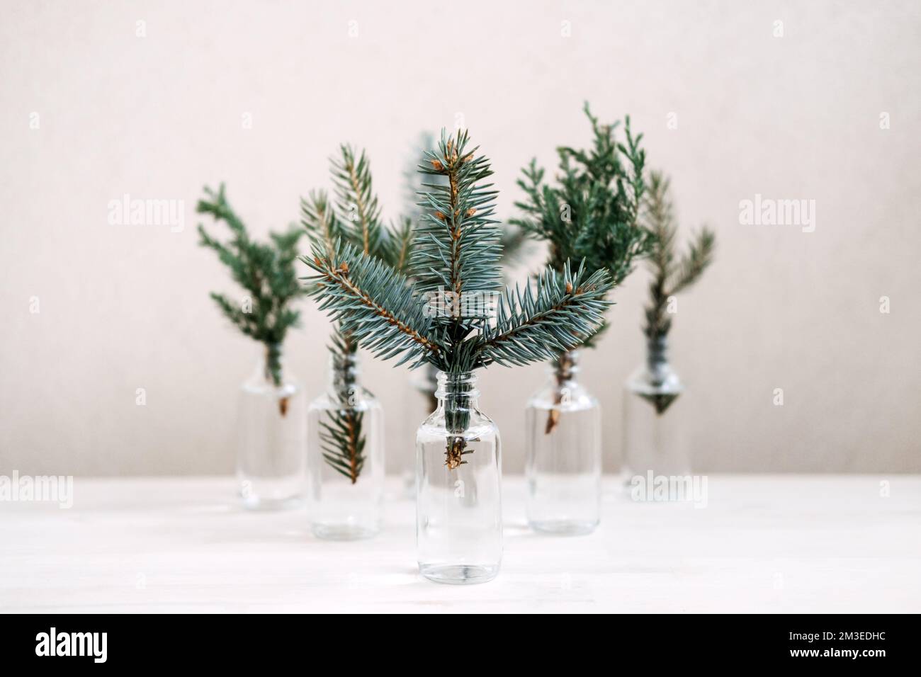 Natale ecologico sostenibile. Rami di abete di conifere in bottiglia, decorazioni natalizie colorabili. Foto Stock
