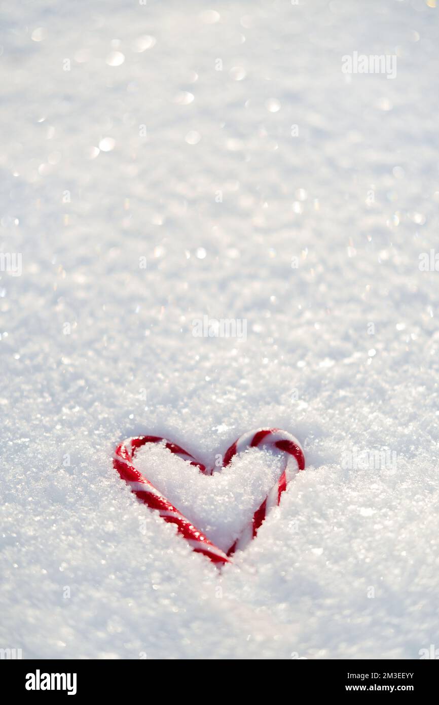 San Valentino, amore, romantico banner web con cuore di caramella rossa sulla neve bianca. San Valentino sfondo giorno all'aperto. Spazio di copia. Foto Stock