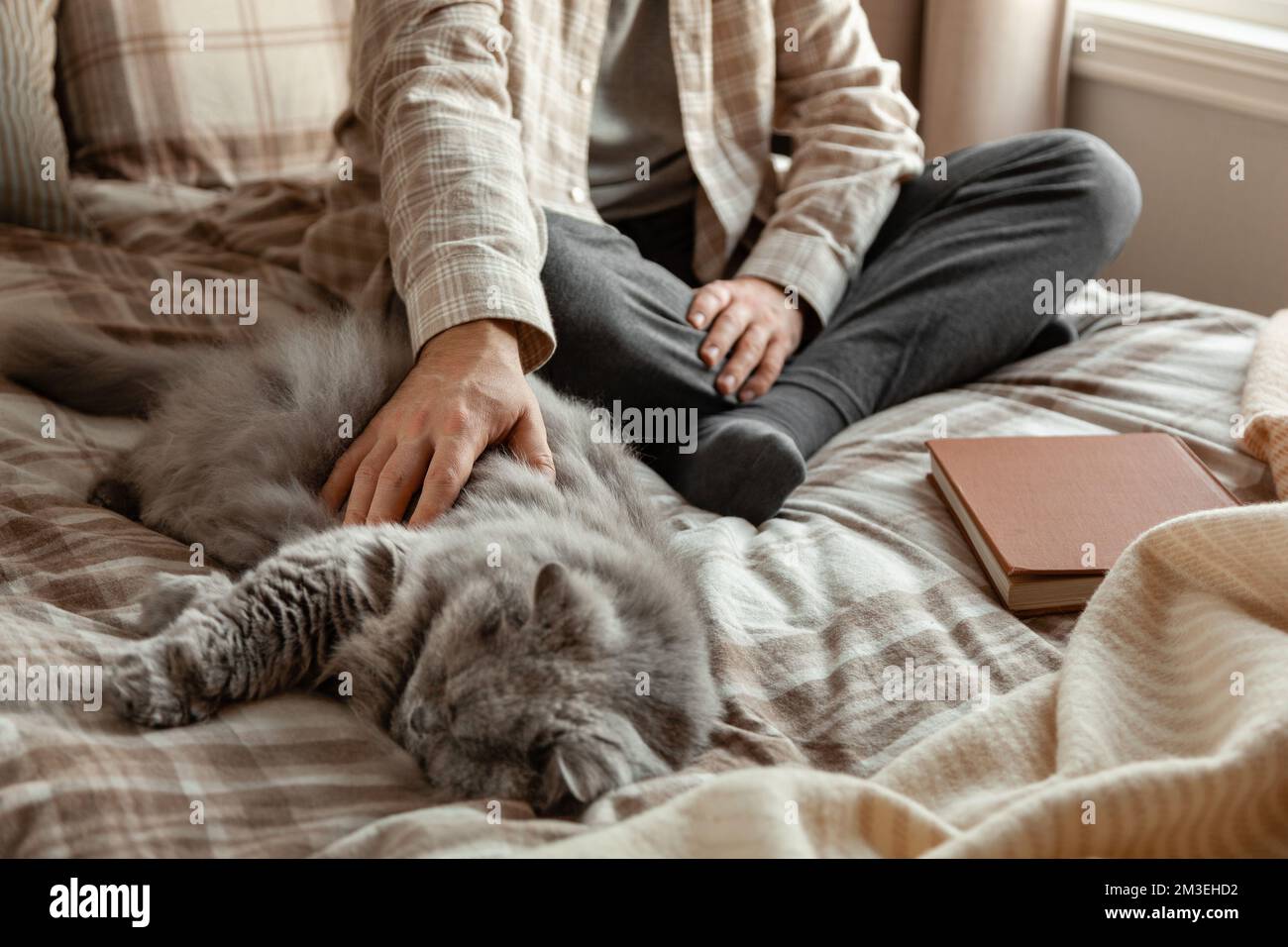 un uomo caucasico che si rilassa a casa, coccolando il suo gatto grigio soffice a letto Foto Stock