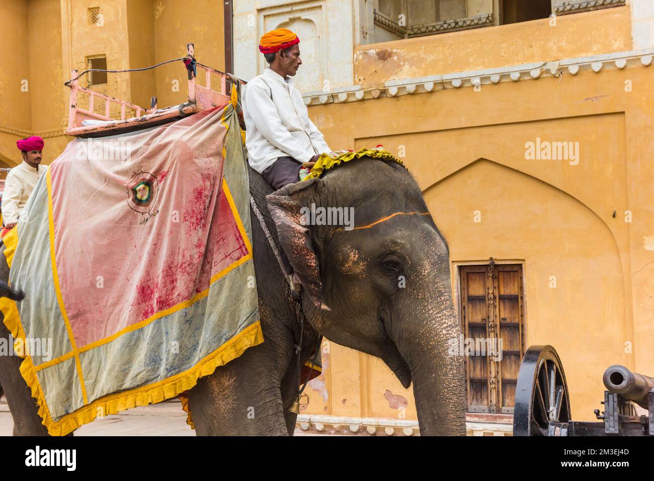 L'uomo indiano che cavalca un elefante al Fort dell'ambra a Jaipur, India Foto Stock