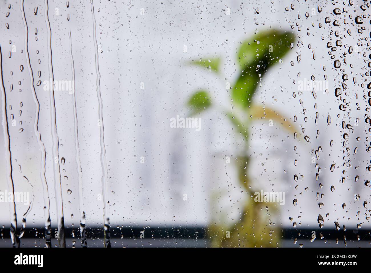 Il paesaggio fuori dalla finestra in una giornata piovosa Foto Stock