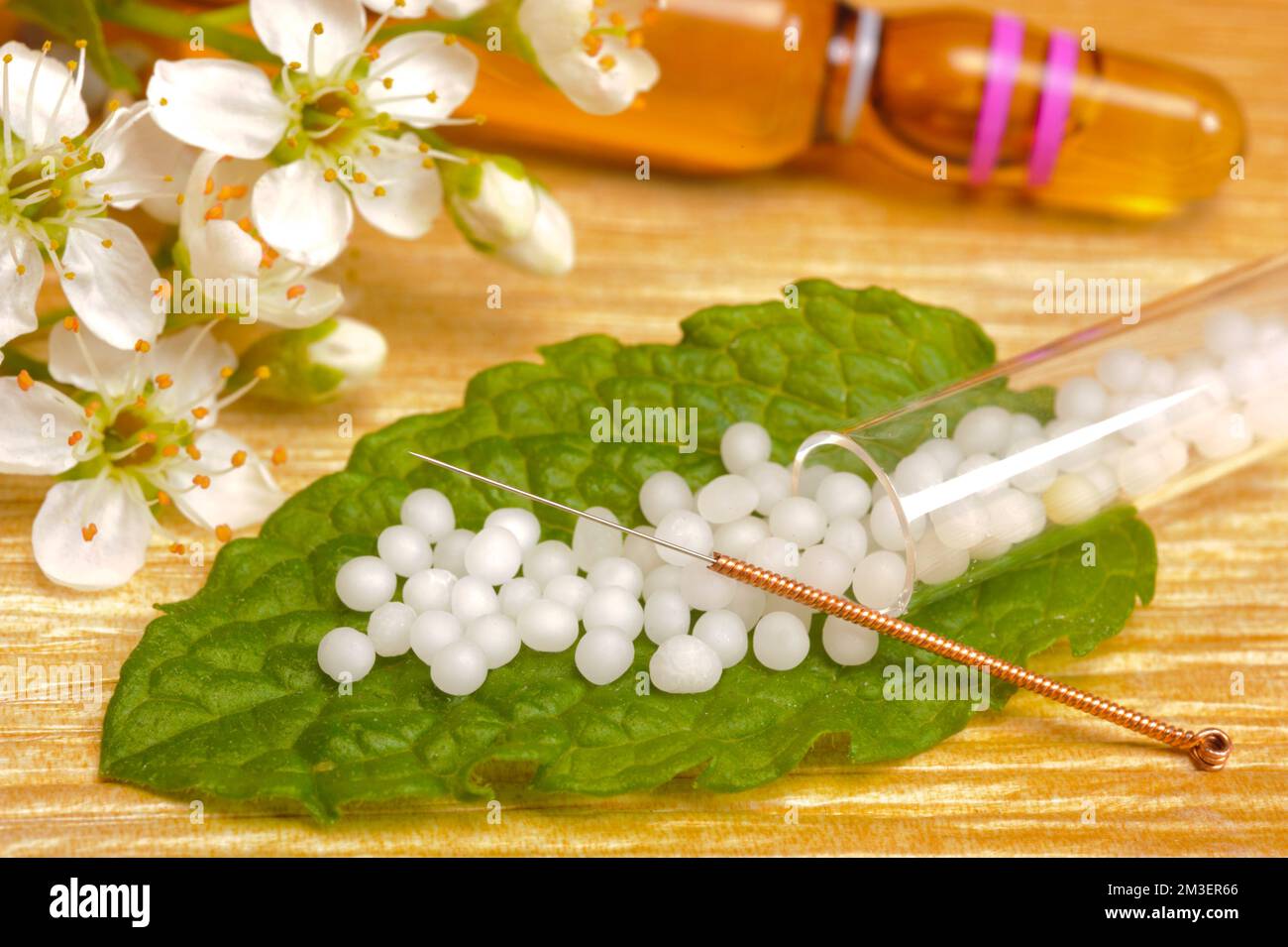 Medicina alternativa con le pillole a base di erbe e agopuntura Foto Stock