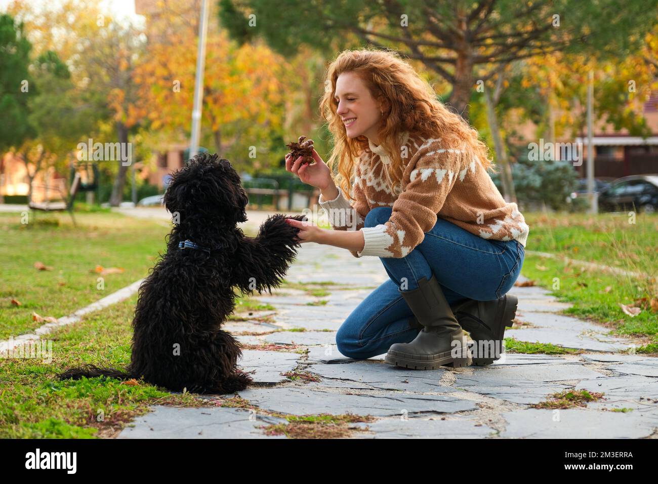 Giovane donna caucasica allenando il suo cane nero cucciolo per dare una zampa. Foto Stock