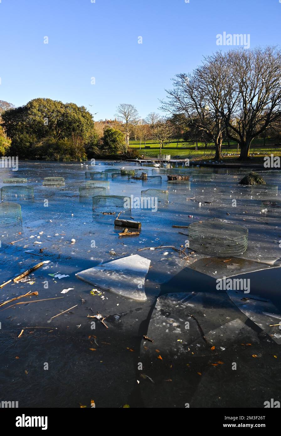 Brighton UK 15th dicembre 2022 - il laghetto ghiacciato al Queens Park di Brighton mentre le condizioni climatiche continuano in tutto il Regno Unito . : Credit Simon Dack / Alamy Live News Foto Stock