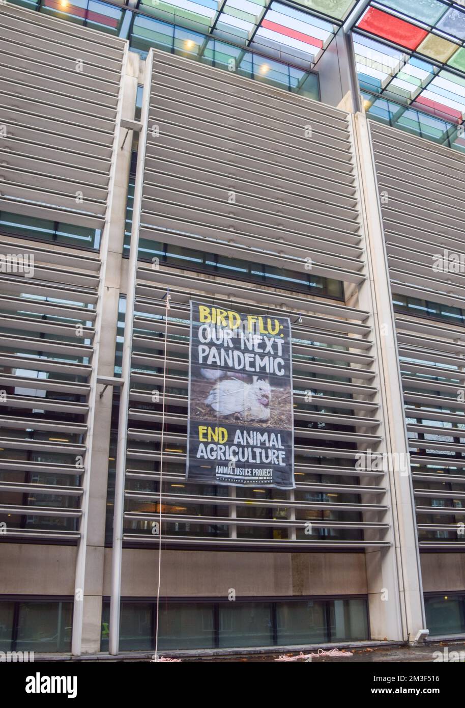 Londra, Regno Unito. 15th dicembre 2022. I manifestanti dei diritti degli animali del gruppo Animal Justice Project hanno appeso un'enorme bandiera all'esterno dell'edificio degli uffici domestici, che ospita anche il Dipartimento per l'ambiente, l'alimentazione e gli affari rurali (DEFRA), chiedendo di porre fine all'agricoltura animale per prevenire la prossima pandemia di influenza aviaria. Credit: Vuk Valcic/Alamy Live News Foto Stock