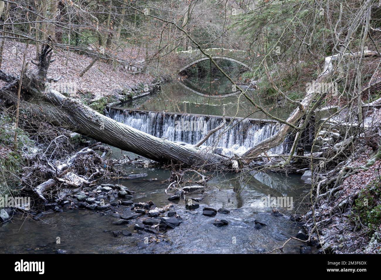 Condizioni climatiche ghiacciate in inverno a Jesmond Dene, un parco pubblico a Newcastle upon Tyne, Regno Unito Foto Stock