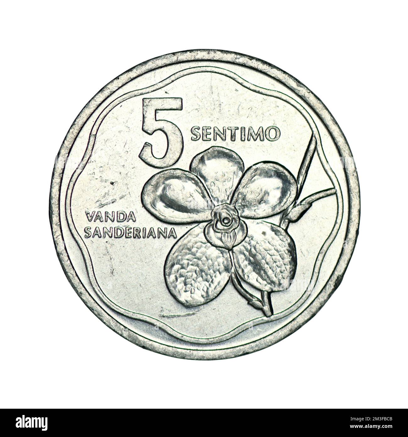 Filippine 5 centime, 1983-1992 su sfondo bianco Foto Stock