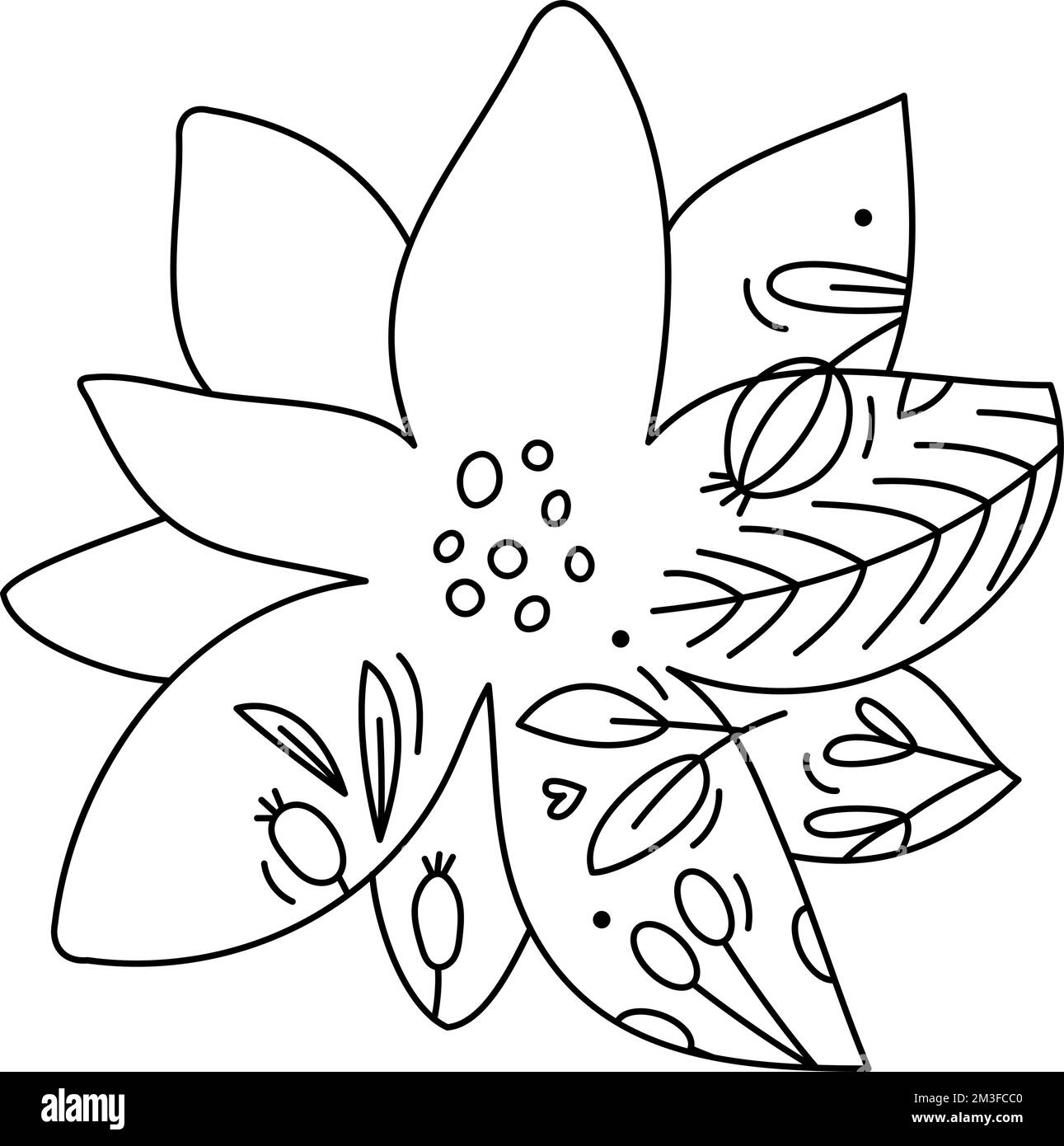 Cute mano disegnata bambino vettore Natale agrifoglio fiore inverno linea con linea bacche, rami struttura. Icona dell'avvento di Natale illustrazione di contorno per Illustrazione Vettoriale