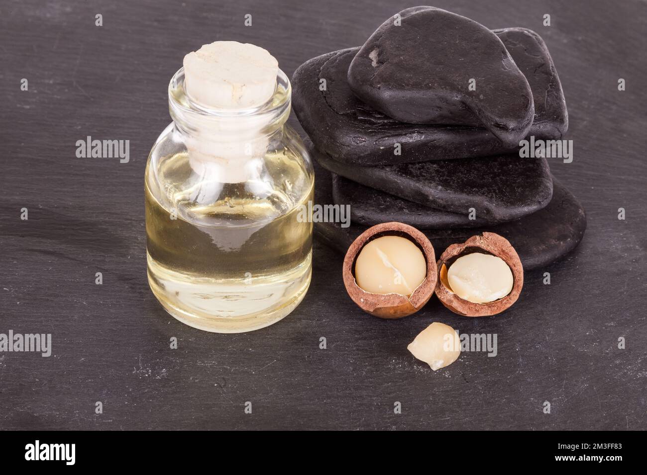 Olio di noci di macadamia o noci australiane su fondo bianco. Foto Stock