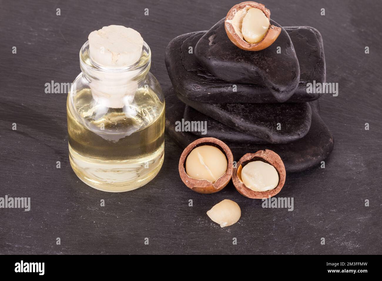 Olio di noci di macadamia o noci australiane su fondo bianco. Foto Stock