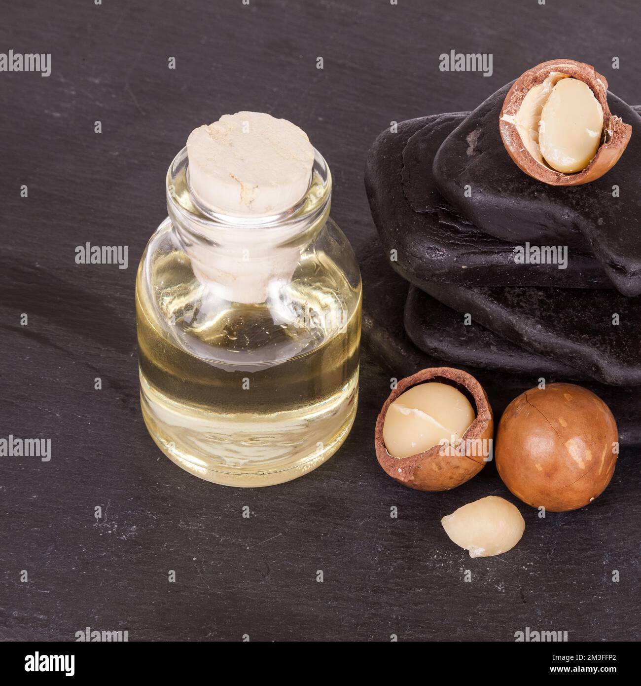 Olio di noci di macadamia o noci australiane su fondo bianco. Foto Stock