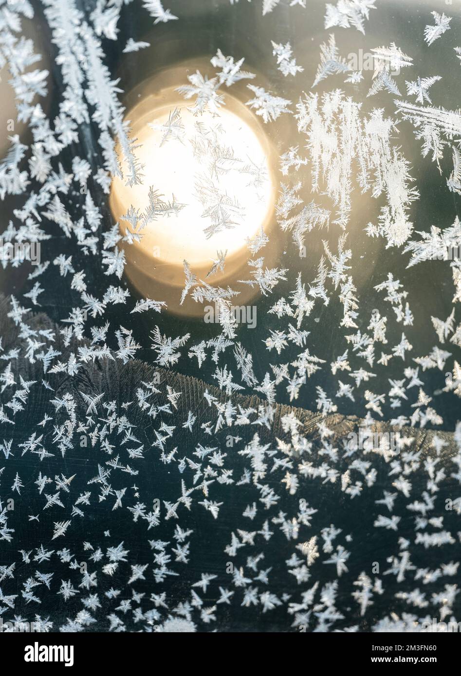 modello di fiori di gelo sul parabrezza dell'auto Foto Stock