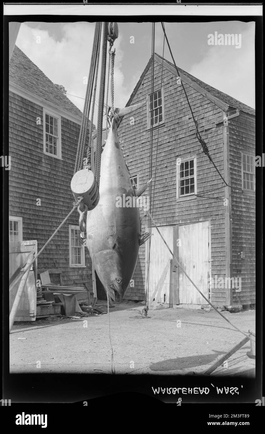 Marblehead (marino) , Pesce, macchine di sollevamento, edifici. Samuel Chamberlain Fotografia negatives Collection Foto Stock