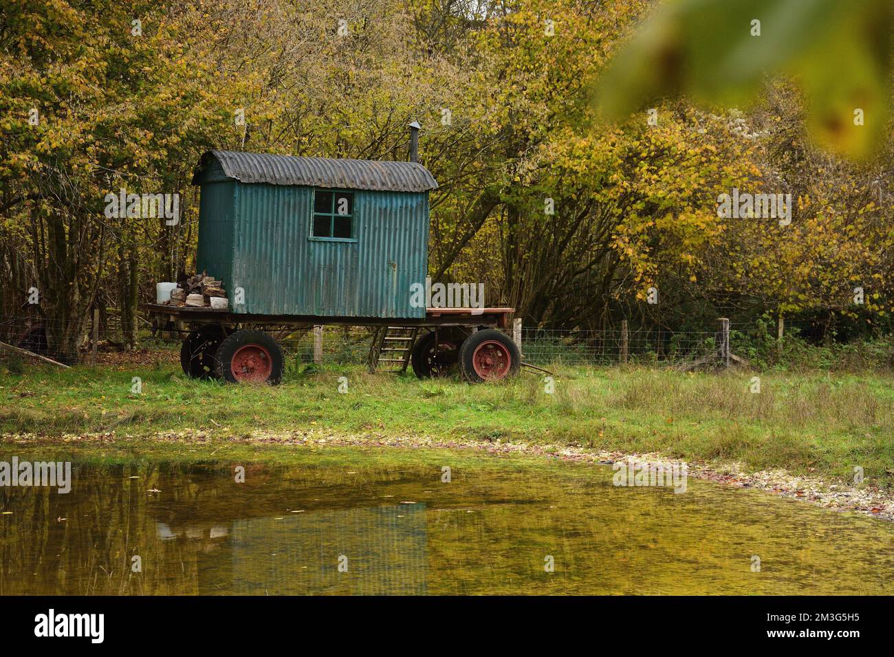 Capanna dei pastori verdi nel bosco vicino all'acqua Foto Stock