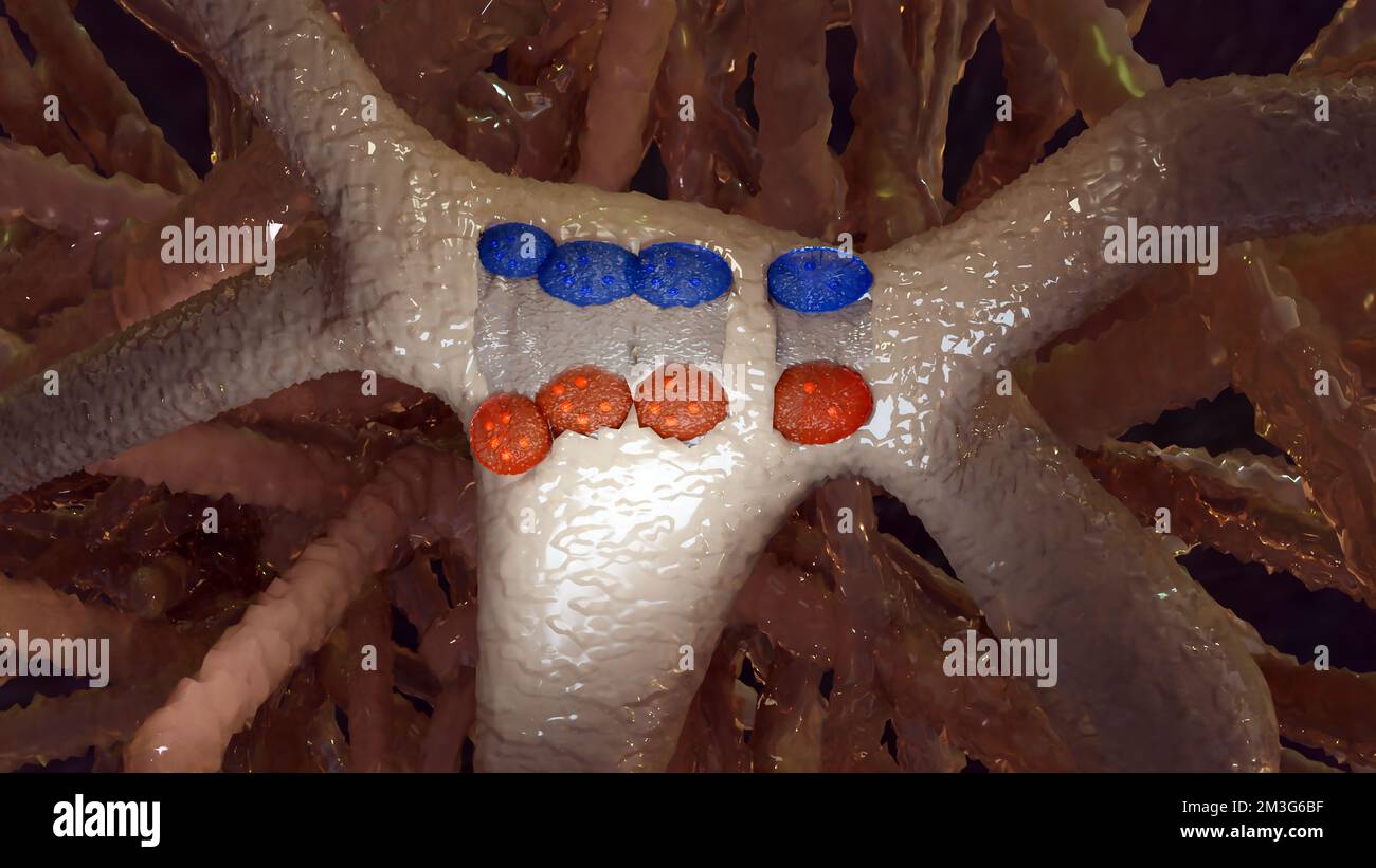 Illustrazione 3d di Osteoblaste e Osteoclaste, accurata dal punto di vista medico, modellazione e rimodellamento osseo, tessuto osseo, cellule assorbenti il calcio dalle ossa Foto Stock