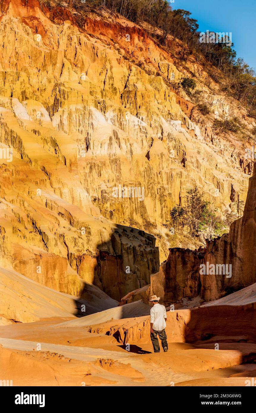 Lavaka di Ankarokaroka, un paesaggio unico come la luna, Ankarafantsika National Park, Madagascar, Oceano Indiano Foto Stock