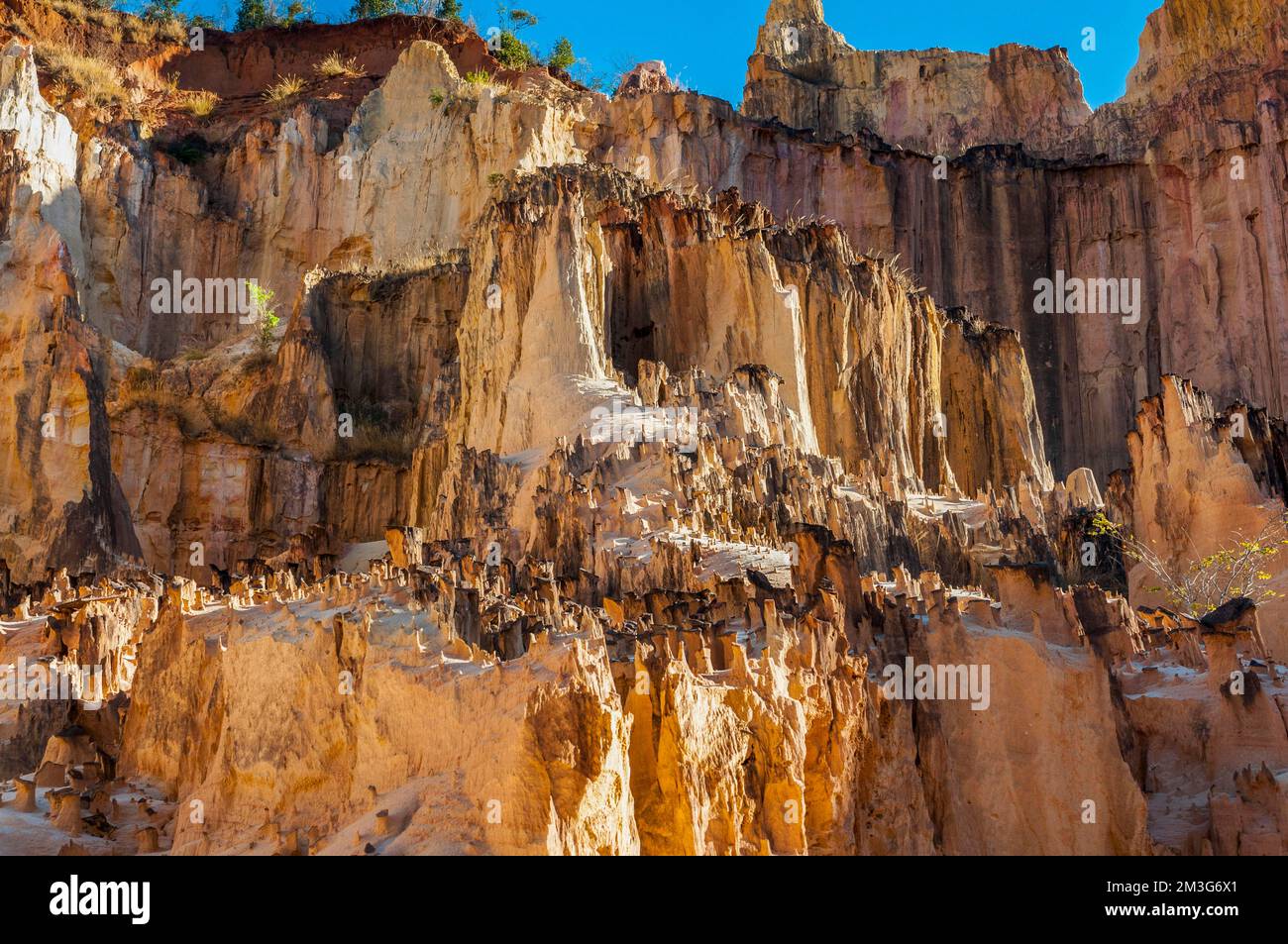 Lavaka di Ankarokaroka, un paesaggio unico come la luna, Ankarafantsika National Park, Madagascar Foto Stock